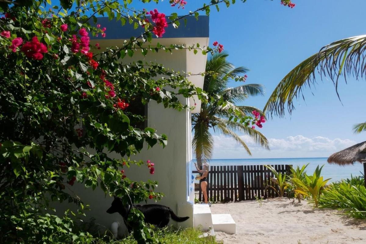 Villa Casa Pronoia Mahahual Exterior foto